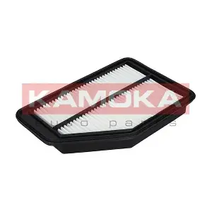 F225801 KAMOKA