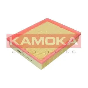 KAMOKA F251101