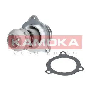 T0135 KAMOKA