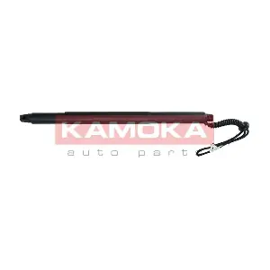 7094010 KAMOKA