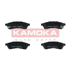 JQ101311 KAMOKA