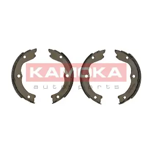 JQ212030 KAMOKA