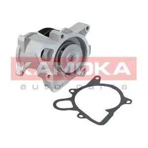 T0173 KAMOKA