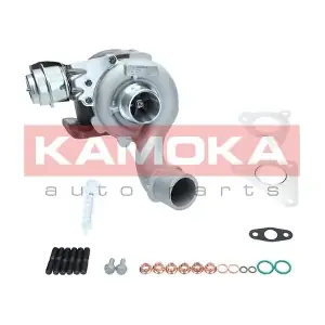 8600012 KAMOKA