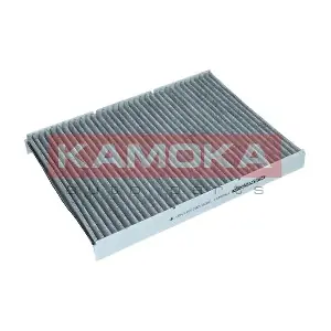 KAMOKA F500401