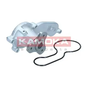 T0306 KAMOKA