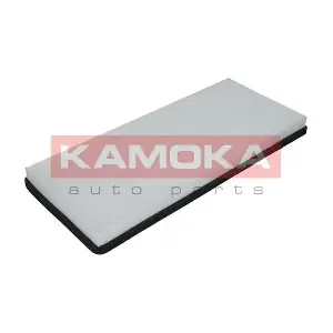 KAMOKA F408001