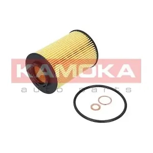 F107901 KAMOKA