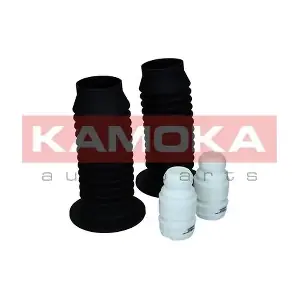 2019103 KAMOKA