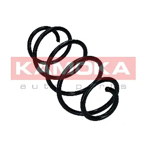 2110841 KAMOKA