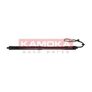 7094042 KAMOKA