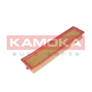 KAMOKA F221001