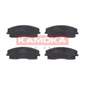 JQ101134 KAMOKA