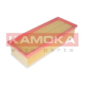 KAMOKA F229701