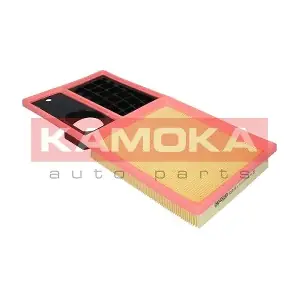F233701 KAMOKA
