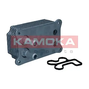 7730025 KAMOKA