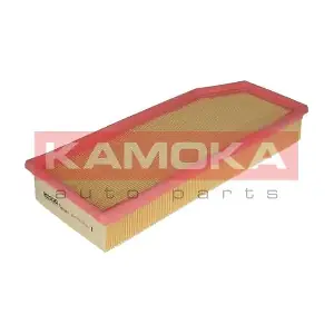 KAMOKA F209801