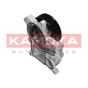 KAMOKA T0048