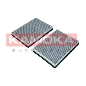 KAMOKA F505701