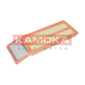 KAMOKA F222701