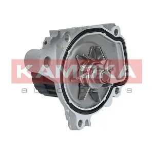 KAMOKA T0148