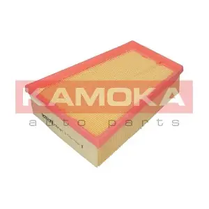 KAMOKA F204101