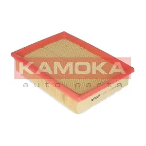 F218501 KAMOKA