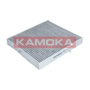 F509701 KAMOKA