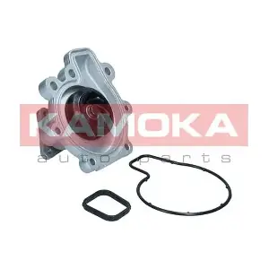 KAMOKA T0292