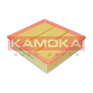 F246701 KAMOKA