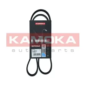 7016049 KAMOKA