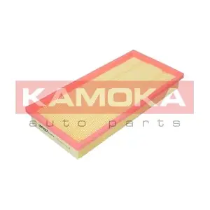 F 224201 KAMOKA