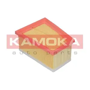 KAMOKA F202101