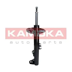 2000179 KAMOKA
