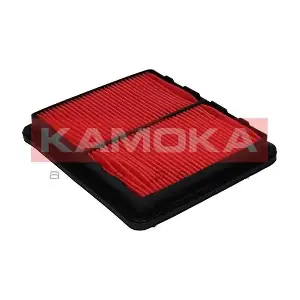 KAMOKA F207601