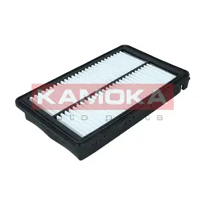 F251901 KAMOKA