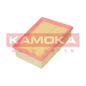 KAMOKA F213401