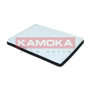 F425101 KAMOKA