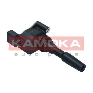 7120165 KAMOKA