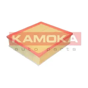 KAMOKA F212501