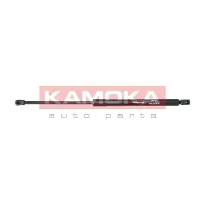7092198 KAMOKA