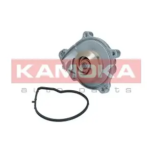 KAMOKA T0050