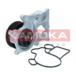 T0301 KAMOKA