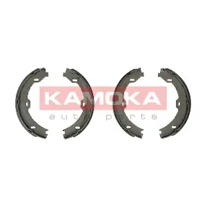 JQ212028 KAMOKA