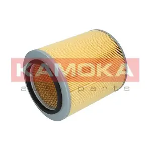 F216101 KAMOKA