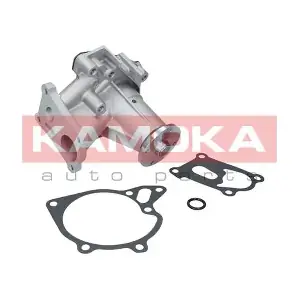 KAMOKA T0161
