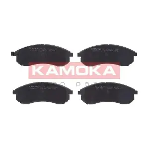 JQ101181 KAMOKA