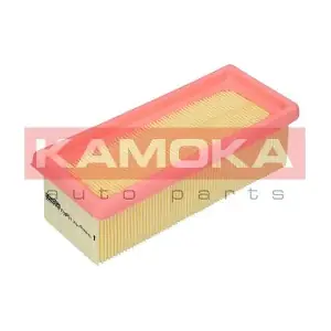 KAMOKA F228701