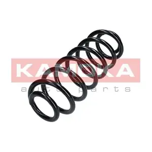 2120284 KAMOKA