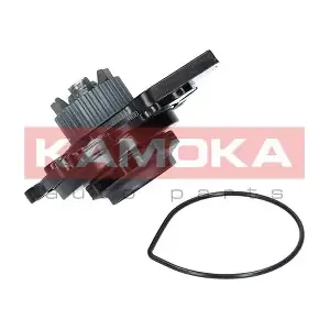KAMOKA T0031